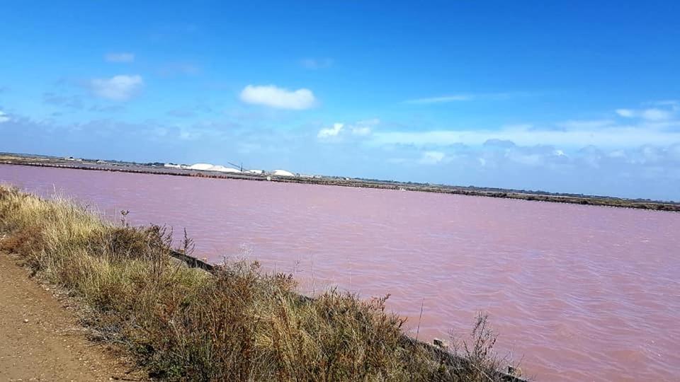 Vue Imprenable Sur Le Port, Proche Plages ! Appartement La Grande-Motte Buitenkant foto